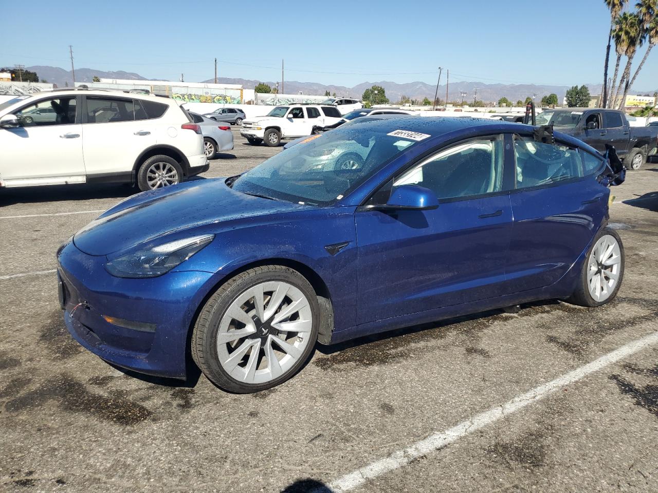 Lot #2977348861 2022 TESLA MODEL 3