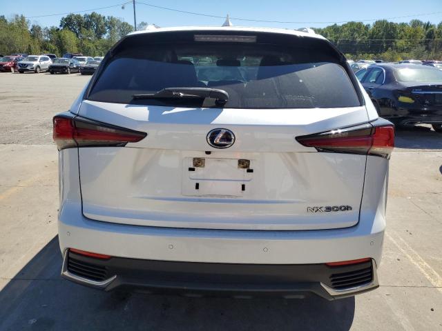 VIN JTJDJRDZXM5010763 2021 LEXUS NX no.6