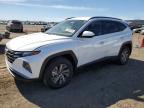 2024 HYUNDAI TUCSON BLU - KM8JBCD10RU224017