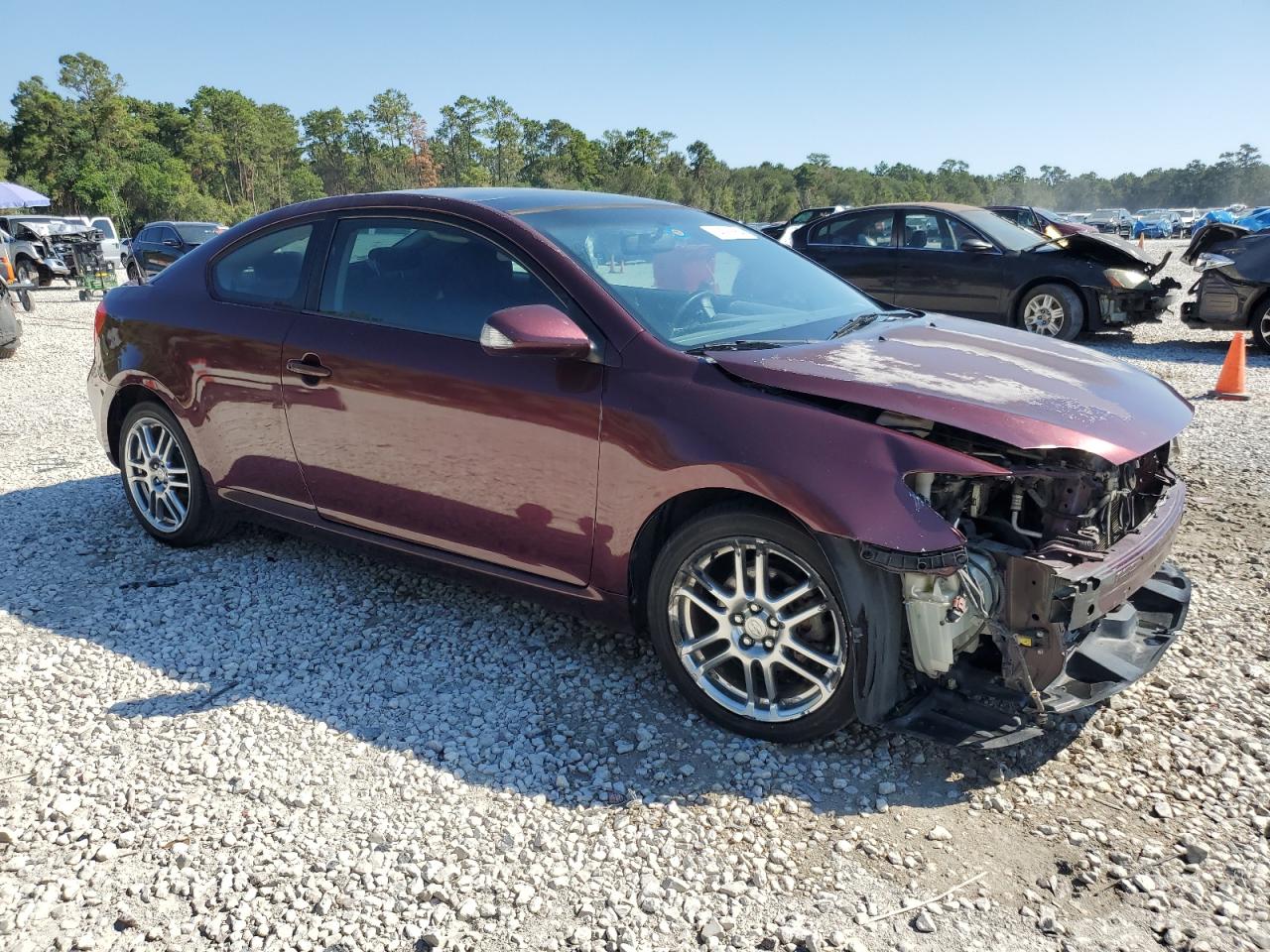 Lot #2976916655 2005 TOYOTA SCION TC