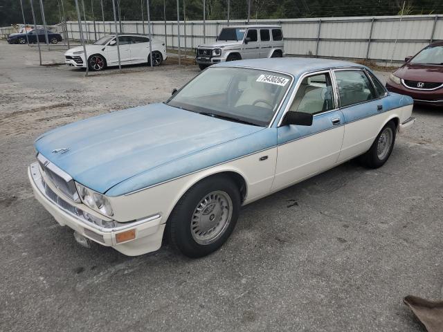JAGUAR VANDENPLAS