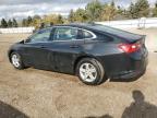 Lot #3024840358 2021 CHEVROLET MALIBU LS