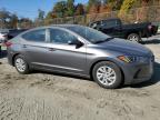 HYUNDAI ELANTRA SE photo