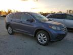 HONDA CR-V EX 2HKRM3H50DH508930 photo