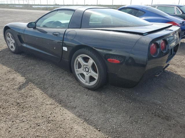 CHEVROLET CORVETTE 1998 black  gas 1G1YY22G3W5106867 photo #3