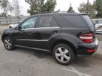 MERCEDES-BENZ ML 350 photo