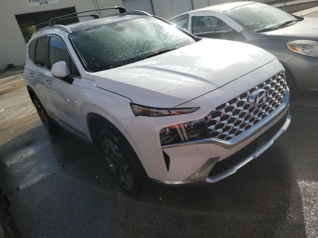 2023 HYUNDAI SANTA FE L - 5NMS44ALXPH497811