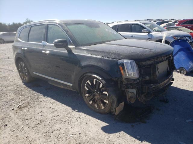 2023 KIA TELLURIDE - 5XYP5DGC0PG381182