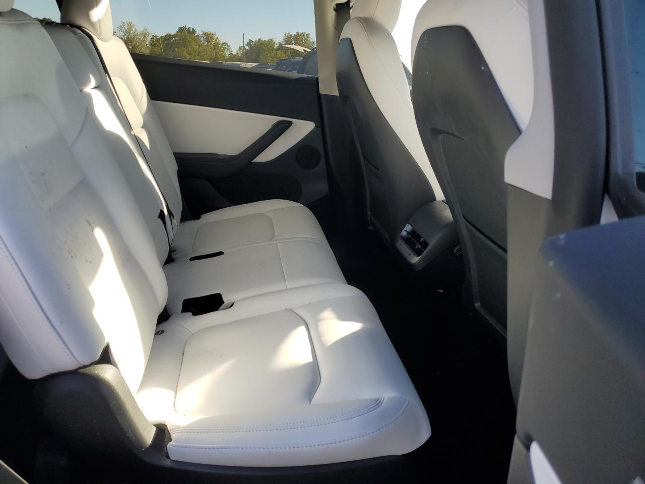 Lot #2974499454 2022 TESLA MODEL Y