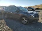 SUBARU FORESTER P photo