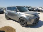 KIA SOUL + photo