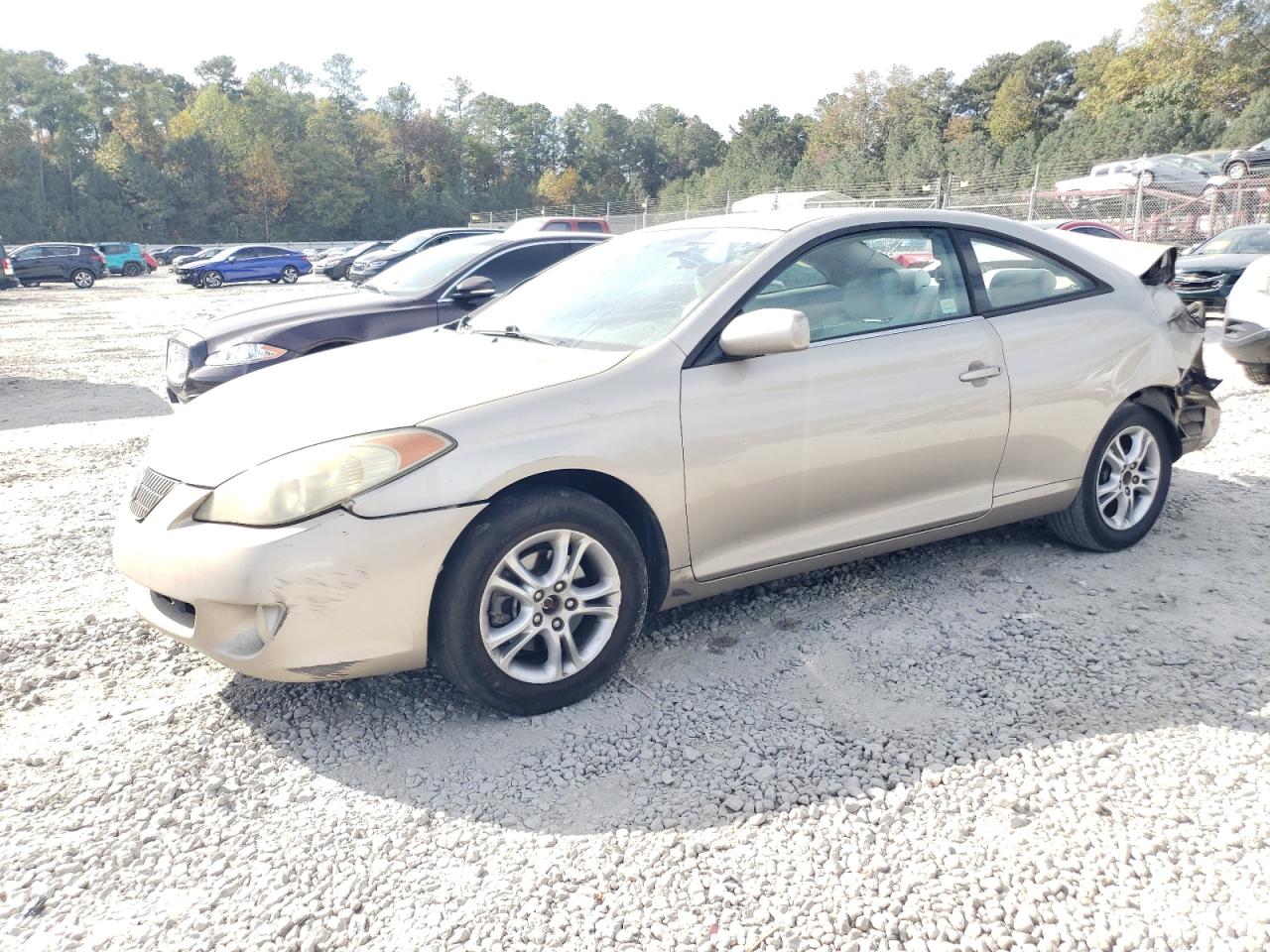 Lot #3020919731 2005 TOYOTA CAMRY SOLA