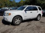 FORD ESCAPE HYB photo