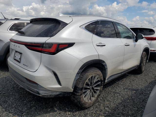 LEXUS NX 250 PRE 2025 white  gas 2T2GDCAZXSC020763 photo #4