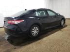 TOYOTA CAMRY LE photo