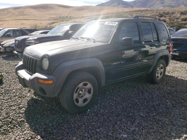 JEEP LIBERTY SP