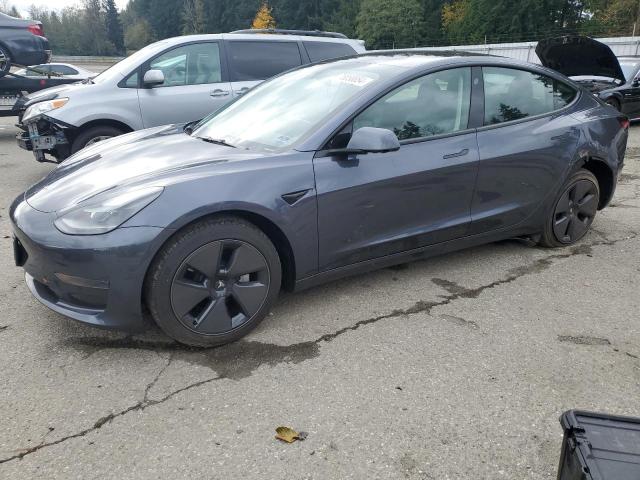 2023 TESLA MODEL 3 #2989373690