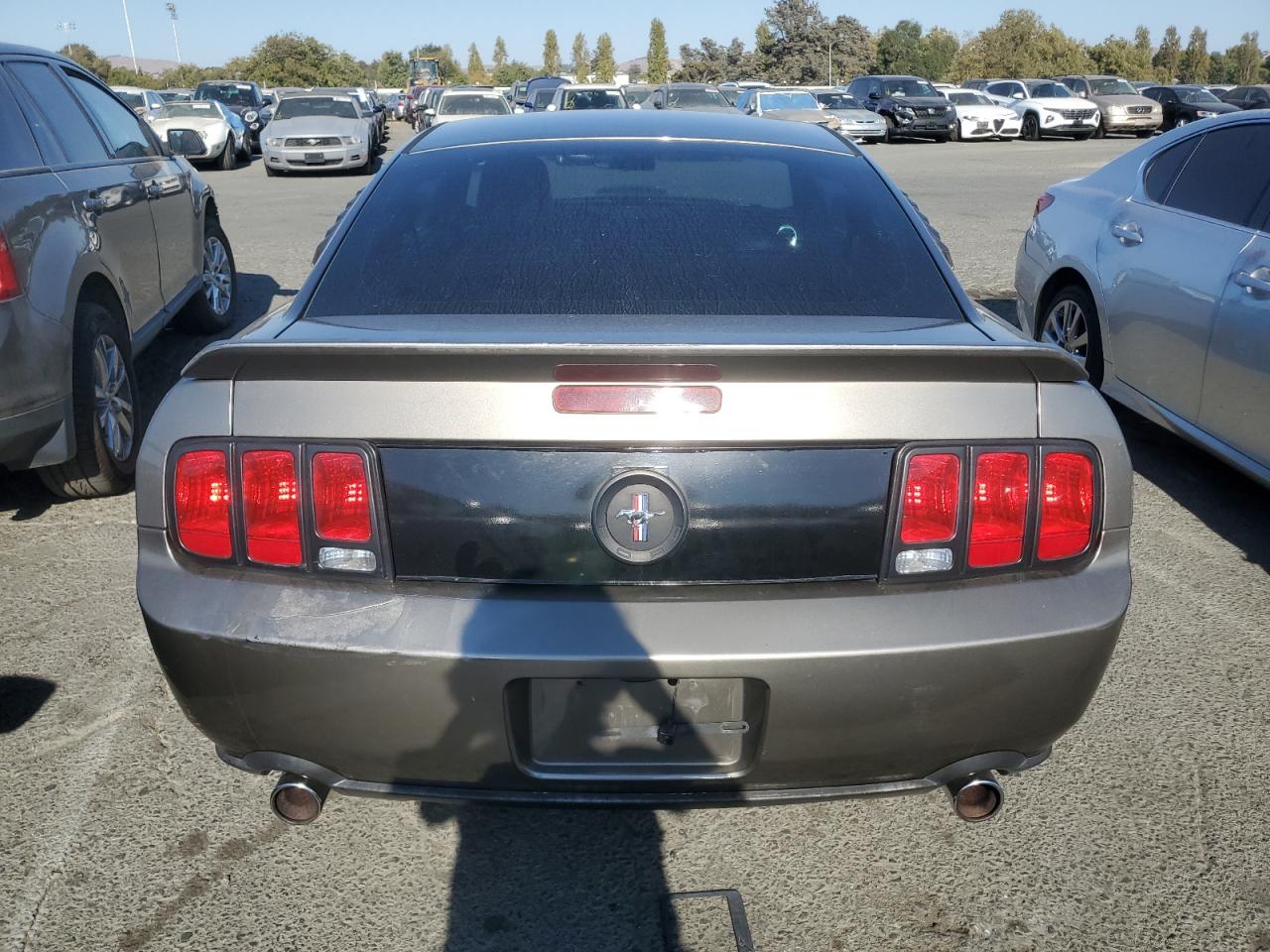 Lot #3028246797 2005 FORD MUSTANG