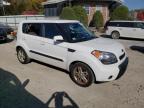 KIA SOUL + photo