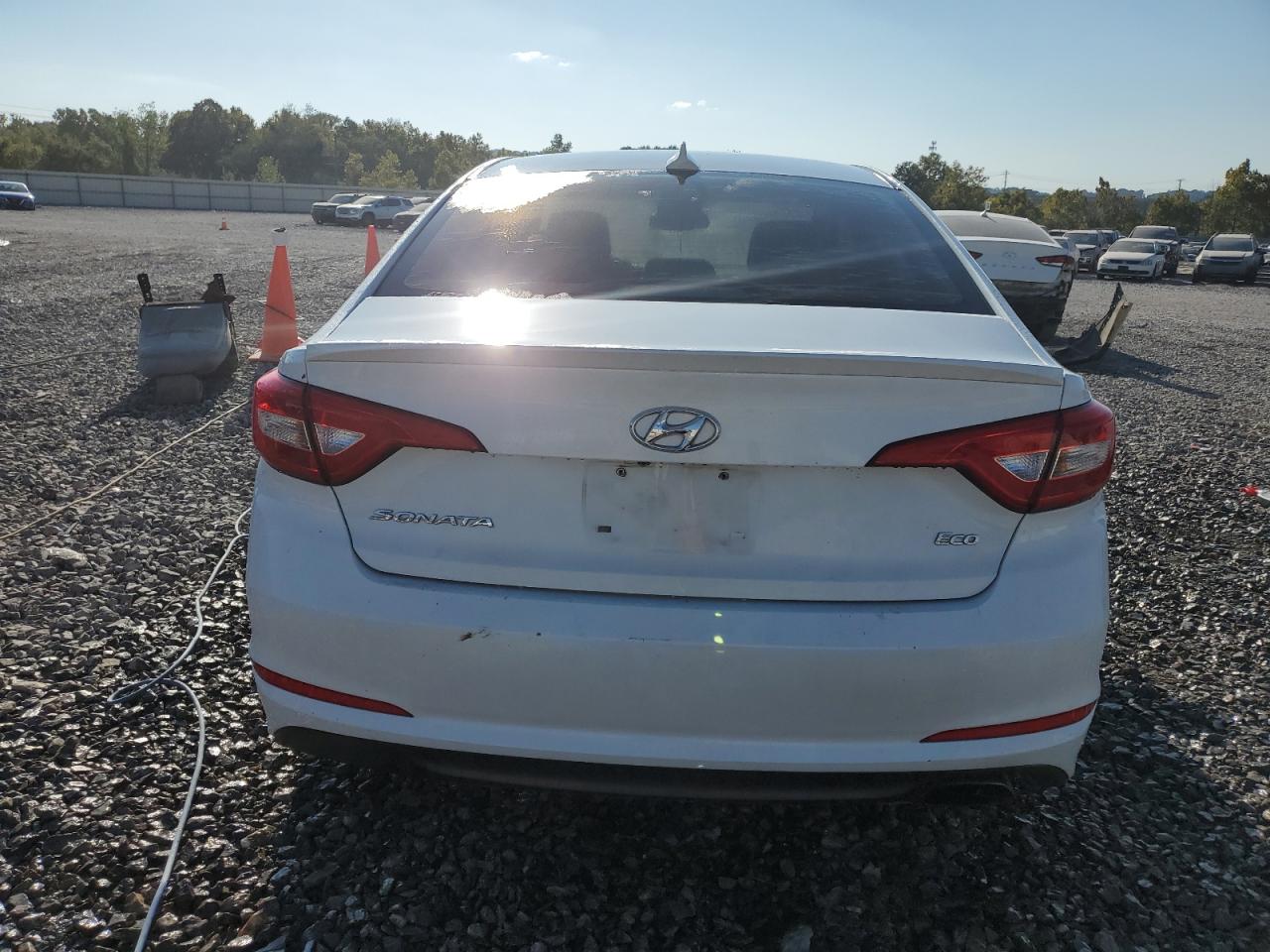 Lot #2919423365 2016 HYUNDAI SONATA ECO