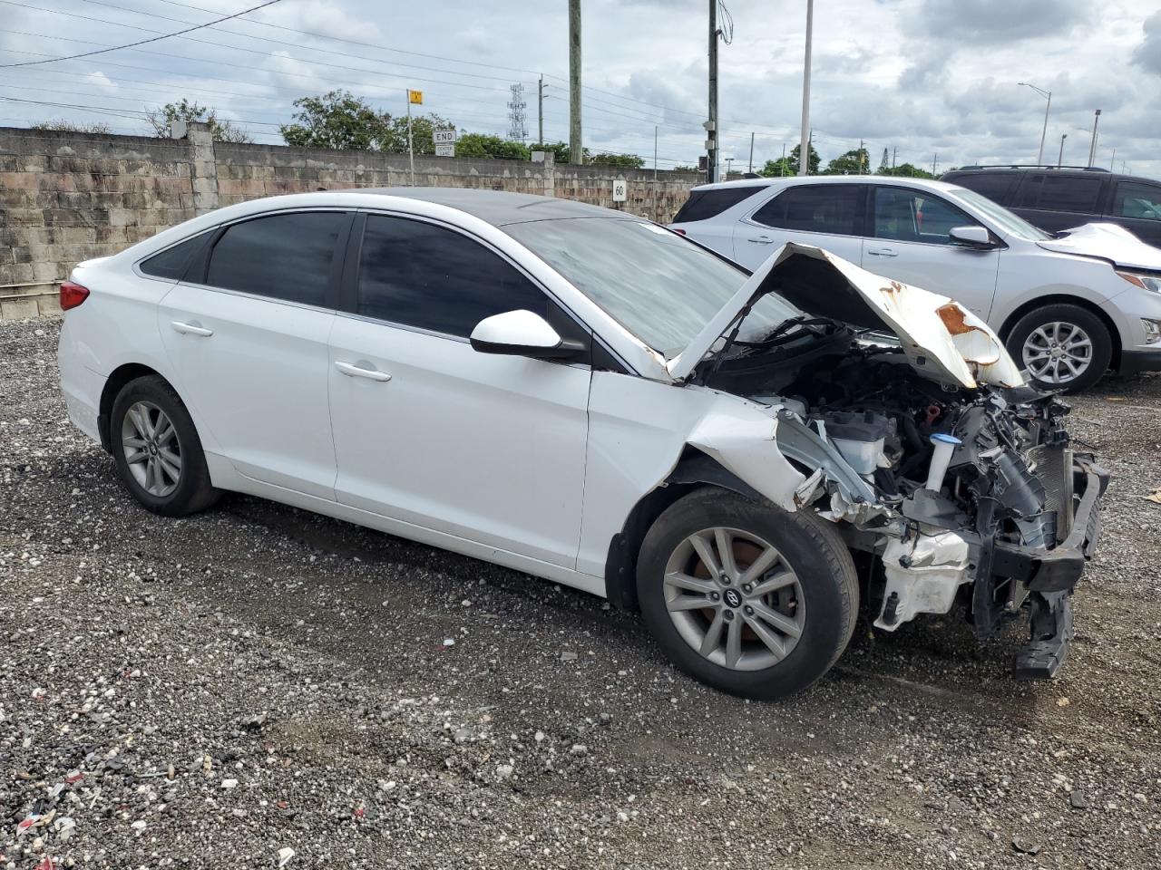 Lot #2994203313 2015 HYUNDAI SONATA SE