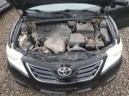 TOYOTA CAMRY BASE photo