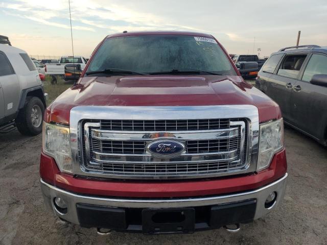 VIN 1FTFX1EF7DFB35567 2013 Ford F-150, Super Cab no.5