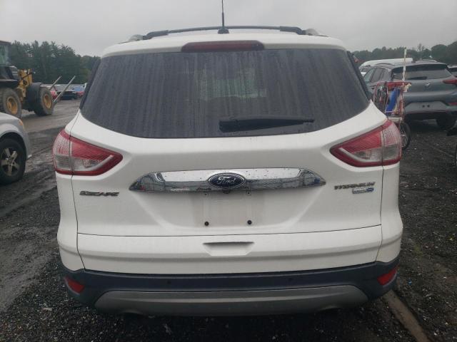 VIN 1FMCU9J97EUE07702 2014 Ford Escape, Titanium no.6