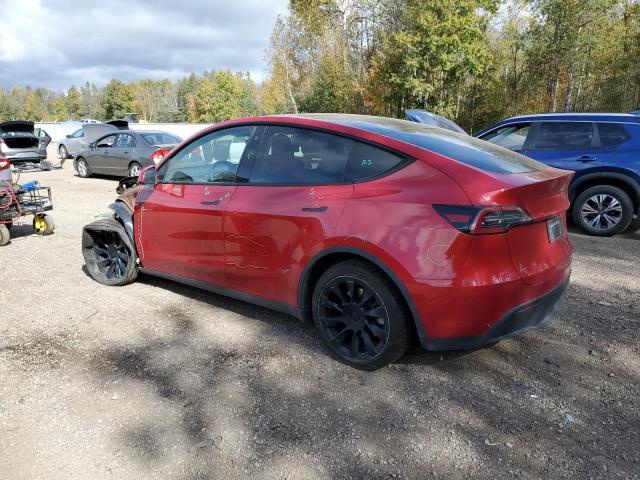 2023 TESLA MODEL Y - 7SAYGAEEXPF635119