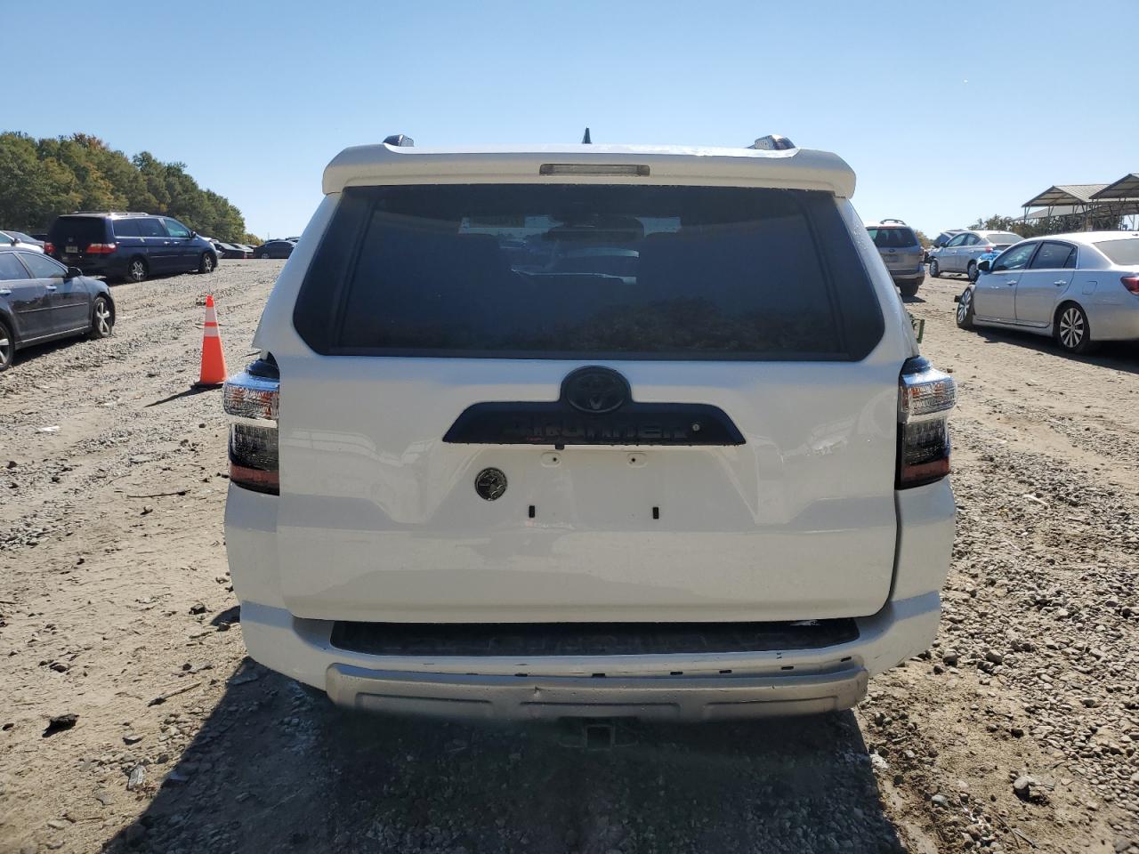 Lot #3003887532 2019 TOYOTA 4RUNNER SR