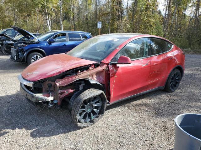 2023 TESLA MODEL Y - 7SAYGAEEXPF635119