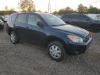 Lot #3033129010 2007 TOYOTA RAV4