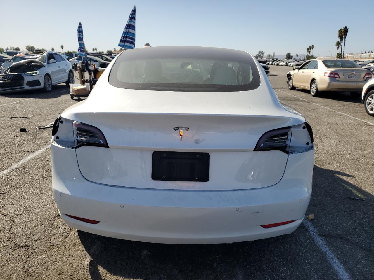 Lot #2976554559 2022 TESLA MODEL 3