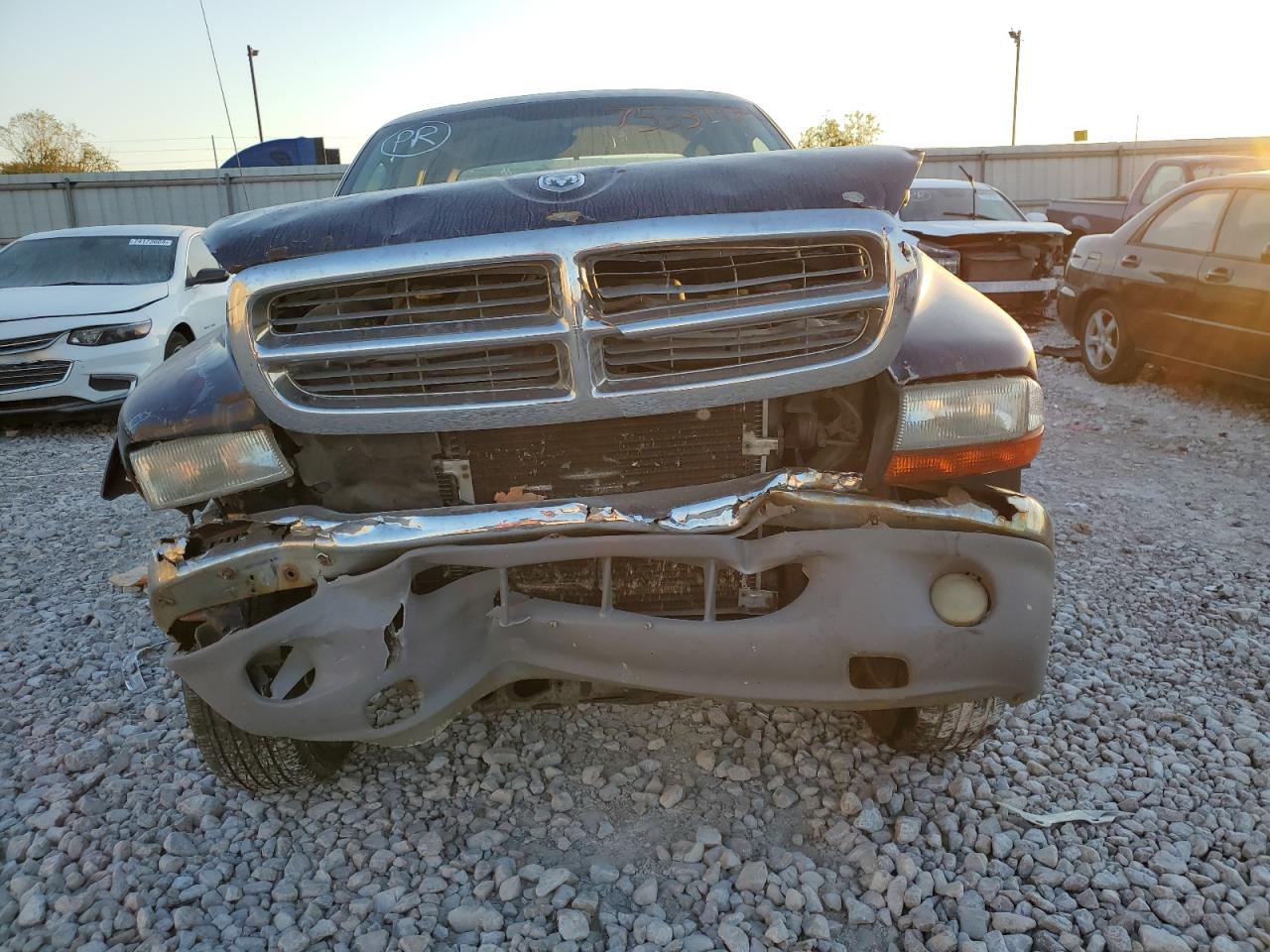 Lot #3023971211 2004 DODGE DAKOTA QUA