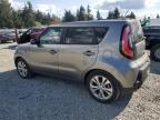 KIA SOUL + photo