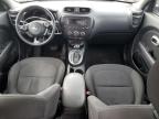 KIA SOUL photo