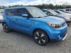 KIA SOUL + photo