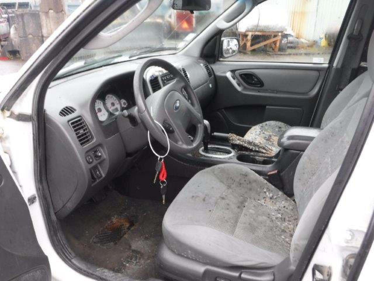 Lot #2928862551 2007 FORD ESCAPE XLT