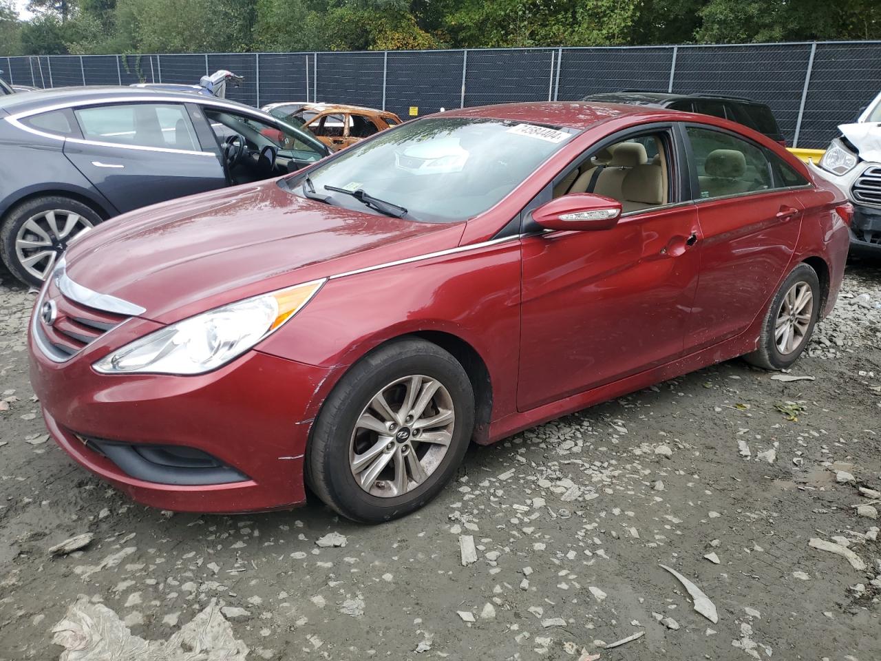 Lot #2943121450 2014 HYUNDAI SONATA GLS