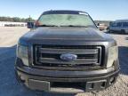 Lot #2947461945 2013 FORD F150 SUPER