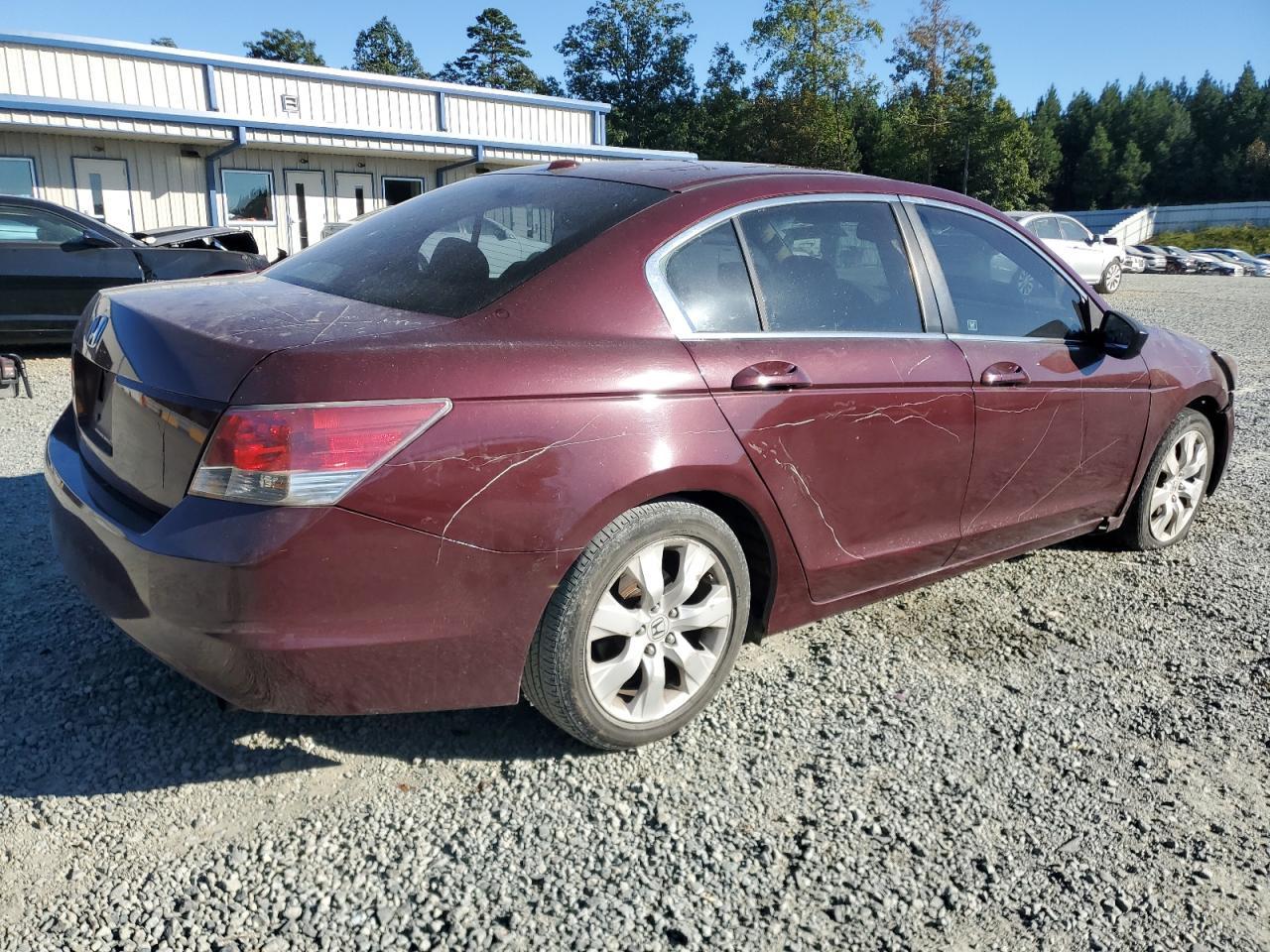 Lot #2919287608 2008 HONDA ACCORD EXL