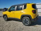 JEEP RENEGADE T photo