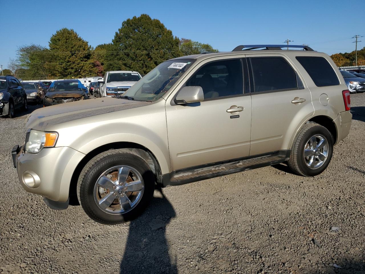 Lot #3025855368 2011 FORD ESCAPE LIM