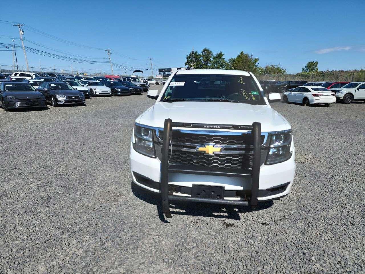 Lot #2873844089 2016 CHEVROLET TAHOE POLI