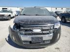 Lot #3024075662 2014 FORD EDGE SEL