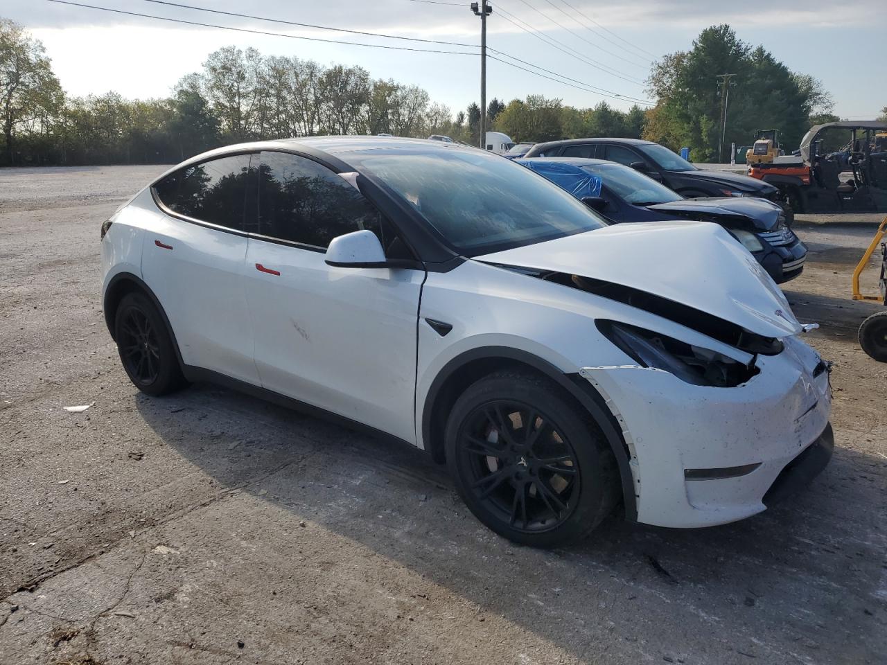 Lot #2962563819 2020 TESLA MODEL Y