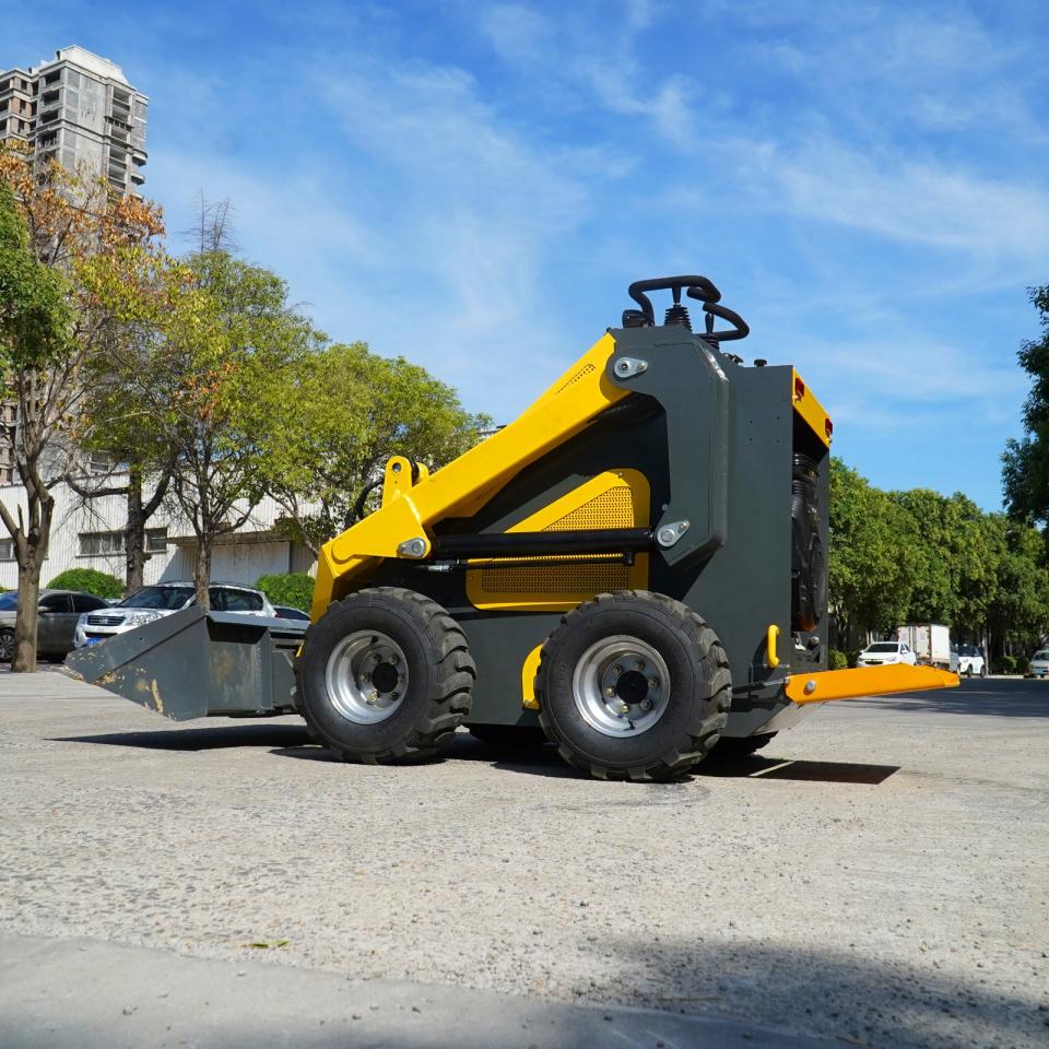 Other SKID STEER 2024 