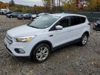 2019 FORD ESCAPE SE - 1FMCU9GD2KUB18136