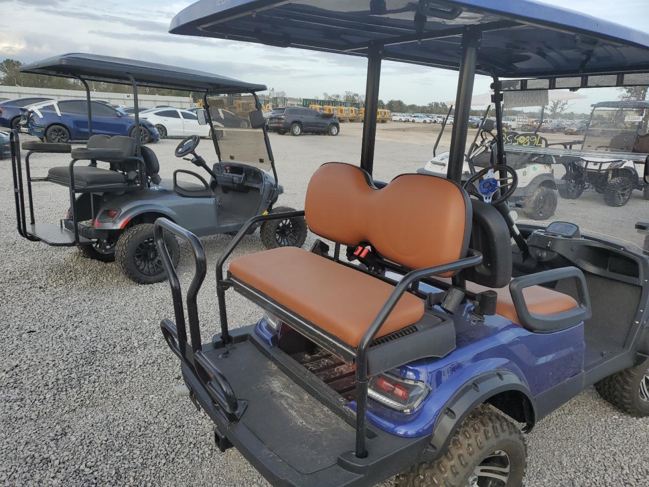 Lot #2969909917 2019 GOLF GOLF CART