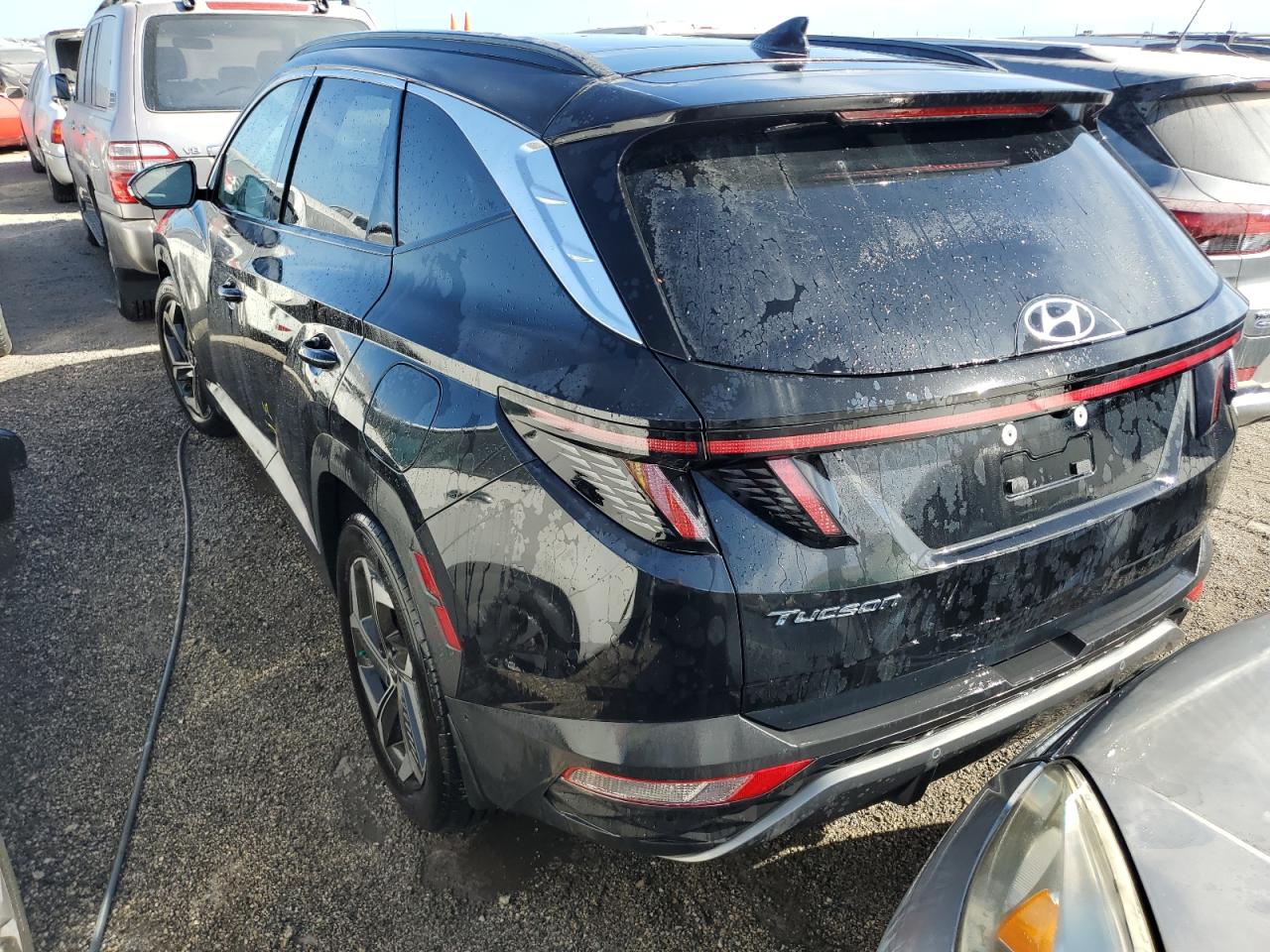 Lot #2994307037 2023 HYUNDAI TUCSON LIM